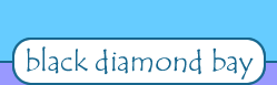 black diamond logo (2K)