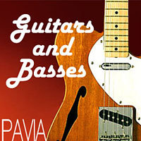 guitars and basses pavia (18K)